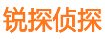 广平市私家侦探